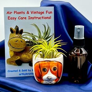 Mini DOG Planter Air Plant Set - Spanish Moss Fine Mist Sprayer FREE Air Plant
